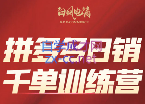 白凤电商·拼多多日销千单训练营(更新8月)-亚特