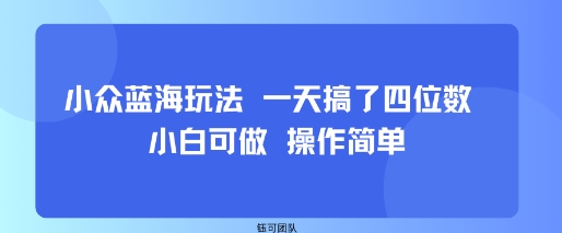 小众蓝海玩法 一天搞了四位数 小白可做 操作简单-亚特