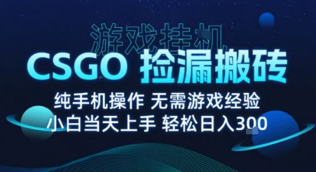 8月最新游戏搬砖，CSGO纯挂G，不需要玩游戏，实现真挂G，月入1W+【揭秘】-亚特