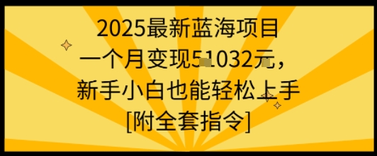 2025最新蓝海项目一个月变现1w+新手小白也能轻松上手【附全套指令】-亚特