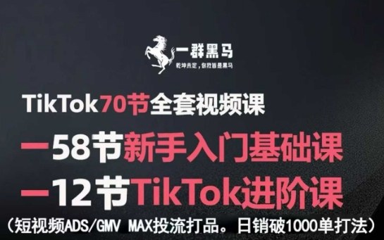 TikTok全套视频课，新手入门+进阶课，短视频ADS-GMV MAX投流打品，日销破1000单打法-亚特