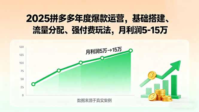 2025拼多多年度爆款运营，基础搭建、流量分配、强付费玩法，月利润5-15万-亚特