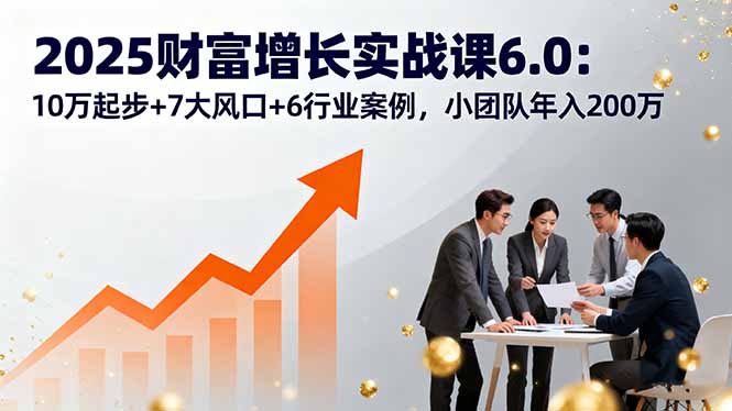 2025财富增长实战课6.0：10万起步+7大风口+6行业案例，小团队年入200万-亚特