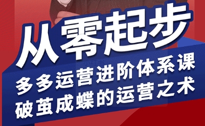 拼多多运营进阶系统课，从零起步，多多运营进阶体系课，破茧成蝶的运营之术(更新9月)-亚特